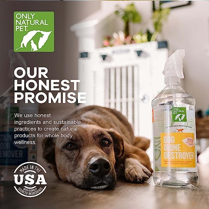 Only Natural Pet Enzyme Powered Stain & Odor Eliminator - Professional Pet Urine Pee Cleaner Deodorizer for Dogs - Hardwood Floors Carpets Upholstery - Eucalyptus & Rosemary Scent - 32Floz - 2 Pack