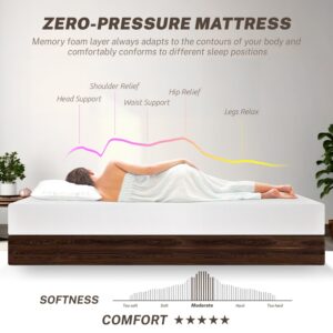 Dopinmin Queen Mattress, 6 Inch Gel Infused Memory Foam Mattress Medium-Firm Mattress for Pressure Relief & Cooling Sleep, CertiPUR-US Certified, Bed in a Box