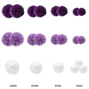 Tissue Paper Pom Poms 22 Pcs Purple,Lavender,White Paper Flower Ball for Birthday Bachelorette Wedding Baby Bridal Shower Party Decoration by BRT Bearingshui