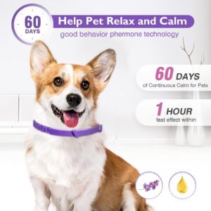 Dog Calming Pheromone Collar Set of 3,Relieves Anxiety,Keeps Dog Quiet,Foldable Collar