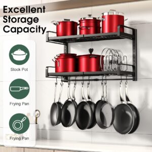 30" Expandable Hanging Pot Rack, 2 Tier Adjustable Pot and Pan Rack for Kitchen Organizers and Storage, Heavy Duty Pot and Pan Organizer, Wall Mounted Pot Lid Organizer for Pots and Pans with 10 Hooks