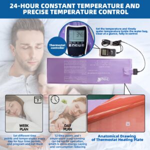 250 W Waterbed Heater - Safe and Durable Softside Waterbed Heater with Lcd Display, Multi-mode Adjustable Smart Thermostat