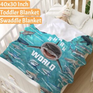 Shark Blanket-Shark Gift for Boys, Girls and Shark Lovers-Super Soft Lightweight and Warm Used for Game Room Bed Camping 40"x50"