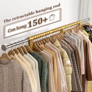 Raybee Gold Clothing Rack Heavy Duty Clothes Rack with Wheels Rolling Clothing Racks for Hanging Clothes for Walk-in Closet, Bed Room, Laundry Room,Commercial,17.7" D x 69.1" W x 71.9" H, Gold