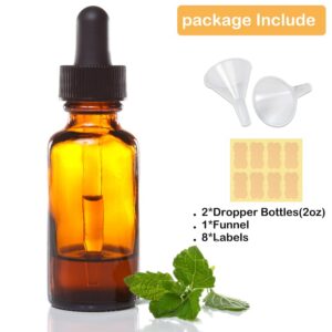 LANBEAUTIFY 2 oz Glass Dropper Bottles - 6 Pack Eye Dropper Bottles with Funnels & Labels - 60ml Amber Glass Tincture Bottles for Essential Oils, Liquids (2OZ-2PCS)