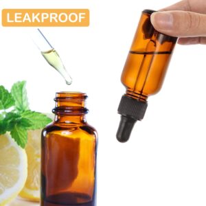 LANBEAUTIFY 2 oz Glass Dropper Bottles - 6 Pack Eye Dropper Bottles with Funnels & Labels - 60ml Amber Glass Tincture Bottles for Essential Oils, Liquids (2OZ-2PCS)