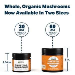 Four Leaf Rover - Turkey Tail Mushroom Extract - Critical Immune Support and Prebiotic for Dogs - 60 Day Supply, Depending on Dog’s Weight - Rich in Beta-Glucans - Vet Formulated