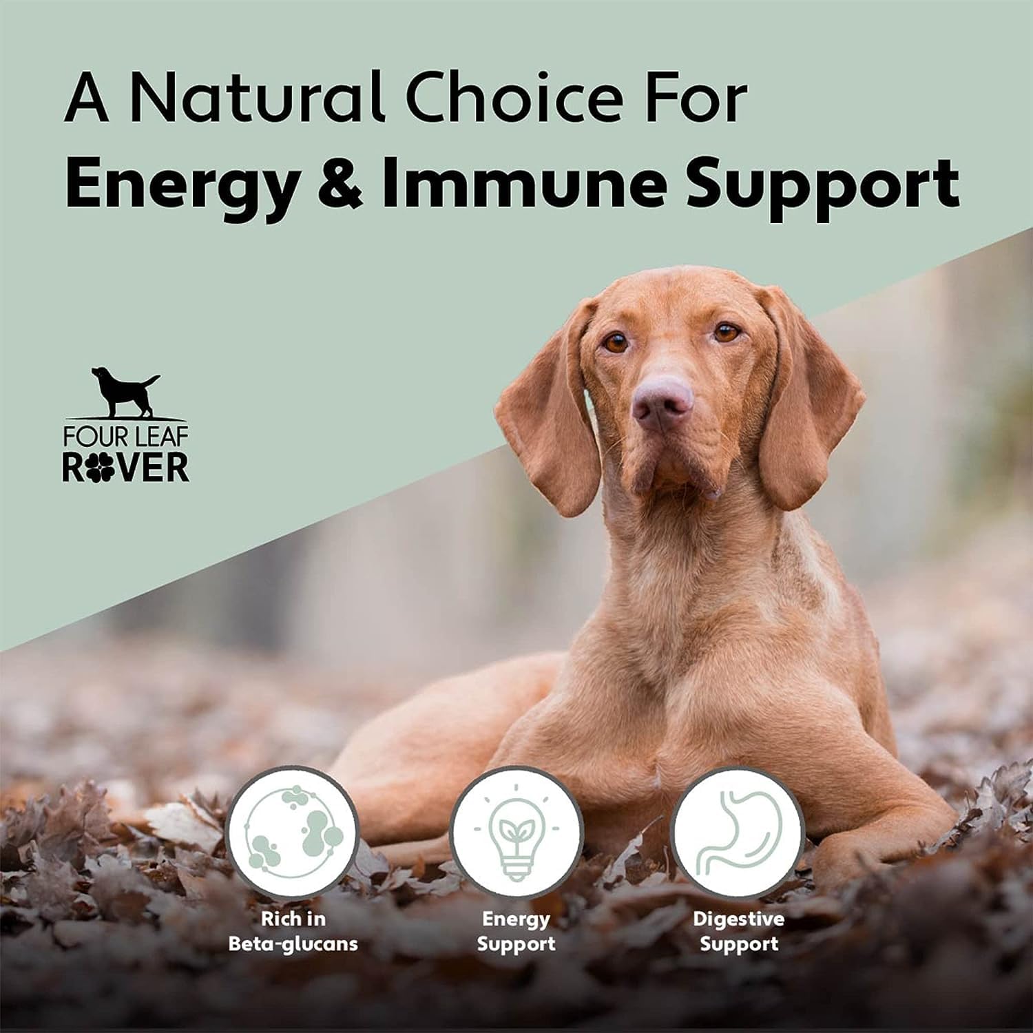 Four Leaf Rover - Turkey Tail Mushroom Extract - Critical Immune Support and Prebiotic for Dogs - 60 Day Supply, Depending on Dog’s Weight - Rich in Beta-Glucans - Vet Formulated