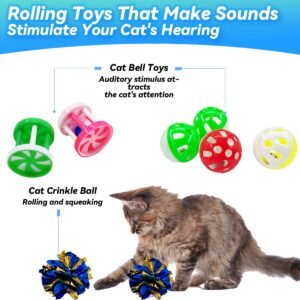 QUVOVID Cat Toys 27 Packs Combo Set, Cat Catnip Fish and Ball Toy, Cat Bell Balls Crinkle Balls, Cat Spring Toys, Plush Mices Attract Cats to Swat, Bite, Hunt, Interactive Toys