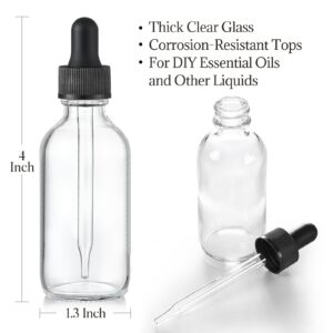 AOZITA Set of 4, 1 oz Clear Eye Dropper Bottles with 1 Stainless Steel Funnels & 4 Labels - Black Caps 30ml Thick Glass Tincture Bottles - Leakproof Essential Oils Bottle for Storage and Travel