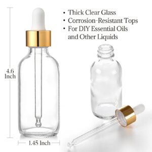 AOZITA Set of 4, 2 oz Golden Cap Clear Dropper Bottles (60ml) with 1 Funnel & 4 Labels - Glass Tincture Bottles for Essential Oils with Eye Droppers - Leak Proof Travel Bottles for Liquids