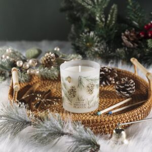 ROMIIE ZOI Christmas Scented Candle - 6oz Soy Wax Candle for Christmas Decoration, Winter Candle, Infused with Winter Pine Aroma - Cream & Green Gift Box Packaged for Christmas Holiday Season Gift