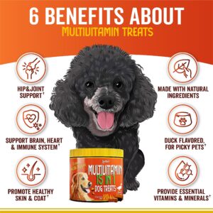 ZooChews Dogs Multivitamin - Support Dog's Immune Response, Skin, Coat and Joints - Vitamins and Glucosamine for Dogs - 180 Tasty Chews - Vitamins for All Breeds dogs