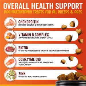 ZooChews Dogs Multivitamin - Support Dog's Immune Response, Skin, Coat and Joints - Vitamins and Glucosamine for Dogs - 180 Tasty Chews - Vitamins for All Breeds dogs