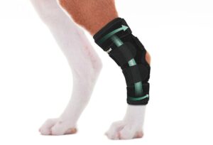 lyderpet dog leg brace for hind hock joint, rear ankle compression wrap with metal strips strong support for torn acl & ccl, prevents from injury and sprain, helps with wounds care and arthritis (s)