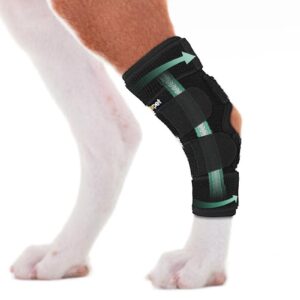 Lyderpet Dog Leg Brace for Hind Hock Joint, Rear Ankle Compression Wrap with Metal Strips Strong Support for Torn ACL & CCL, Prevents from Injury and Sprain, Helps with Wounds Care and Arthritis (S)