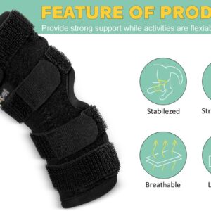 Lyderpet Dog Leg Brace for Hind Hock Joint, Rear Ankle Compression Wrap with Metal Strips Strong Support for Torn ACL & CCL, Prevents from Injury and Sprain, Helps with Wounds Care and Arthritis (S)