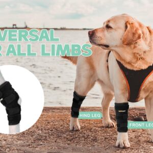 Lyderpet Dog Leg Brace for Hind Hock Joint, Rear Ankle Compression Wrap with Metal Strips Strong Support for Torn ACL & CCL, Prevents from Injury and Sprain, Helps with Wounds Care and Arthritis (S)