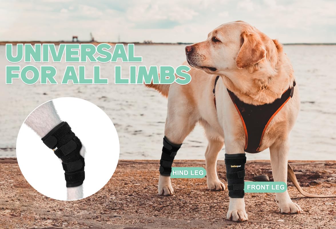 Lyderpet Dog Leg Brace for Hind Hock Joint, Rear Ankle Compression Wrap with Metal Strips Strong Support for Torn ACL & CCL, Prevents from Injury and Sprain, Helps with Wounds Care and Arthritis (S)