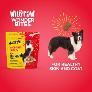 Wildpaw WonderBites for Healthy Skin and Coat - Skin & Coat Health Supplement for Dogs - Salmon Fish Oil Supplement - Hemp Chews for Dogs with Zinc - 90 Soft Chews