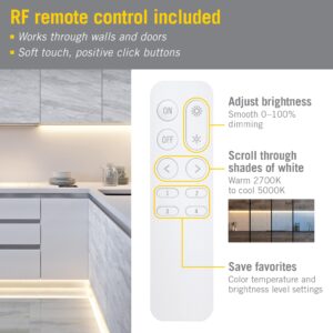 Armacost Lighting ProLine CCT Tunable White Lighting LED Controller 513125