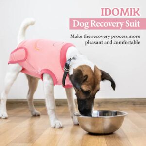 IDOMIK Dog Surgery Recovery Suit, Soft Comfortable Surgical Recovery Dog Onesie, Post Spay Neuter Recovery Shirt for Small Large Dogs, Cone Alternative After Surgery Anti Licking Wounds,Blue Stripe,L