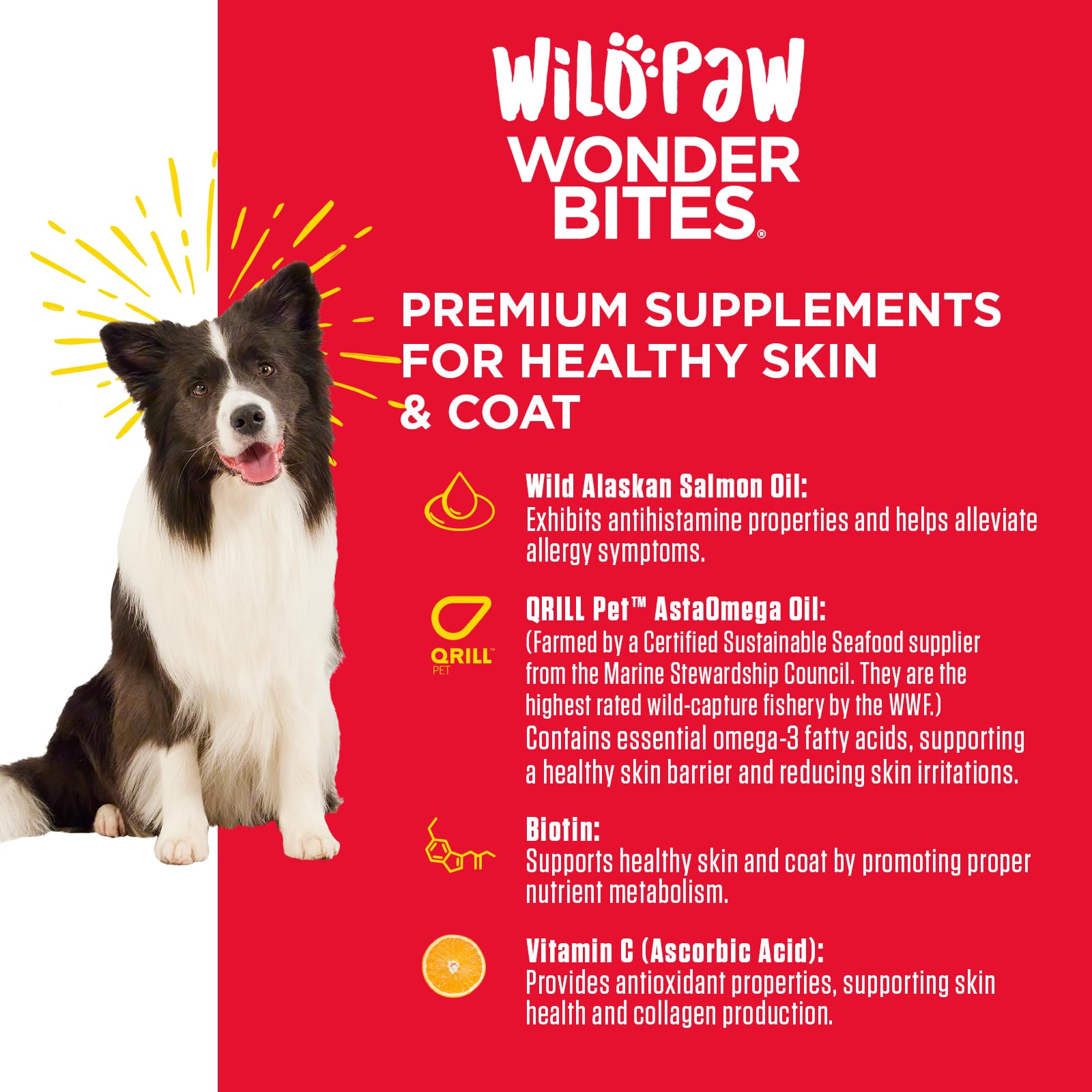 Wildpaw WonderBites for Healthy Skin and Coat - Skin & Coat Health Supplement for Dogs - Salmon Fish Oil Supplement - Hemp Chews for Dogs with Zinc - 90 Soft Chews