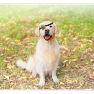 2 Pack Dogs Eye Patch Dog Single Eyepatch Dogs Eye Covering Wounds Protector for Dog Pup Eyes