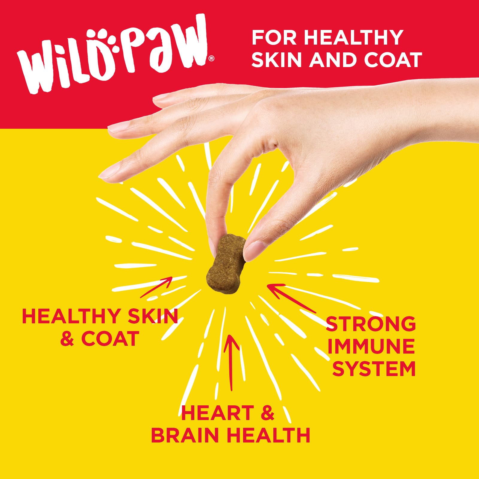 Wildpaw WonderBites for Healthy Skin and Coat - Skin & Coat Health Supplement for Dogs - Salmon Fish Oil Supplement - Hemp Chews for Dogs with Zinc - 90 Soft Chews