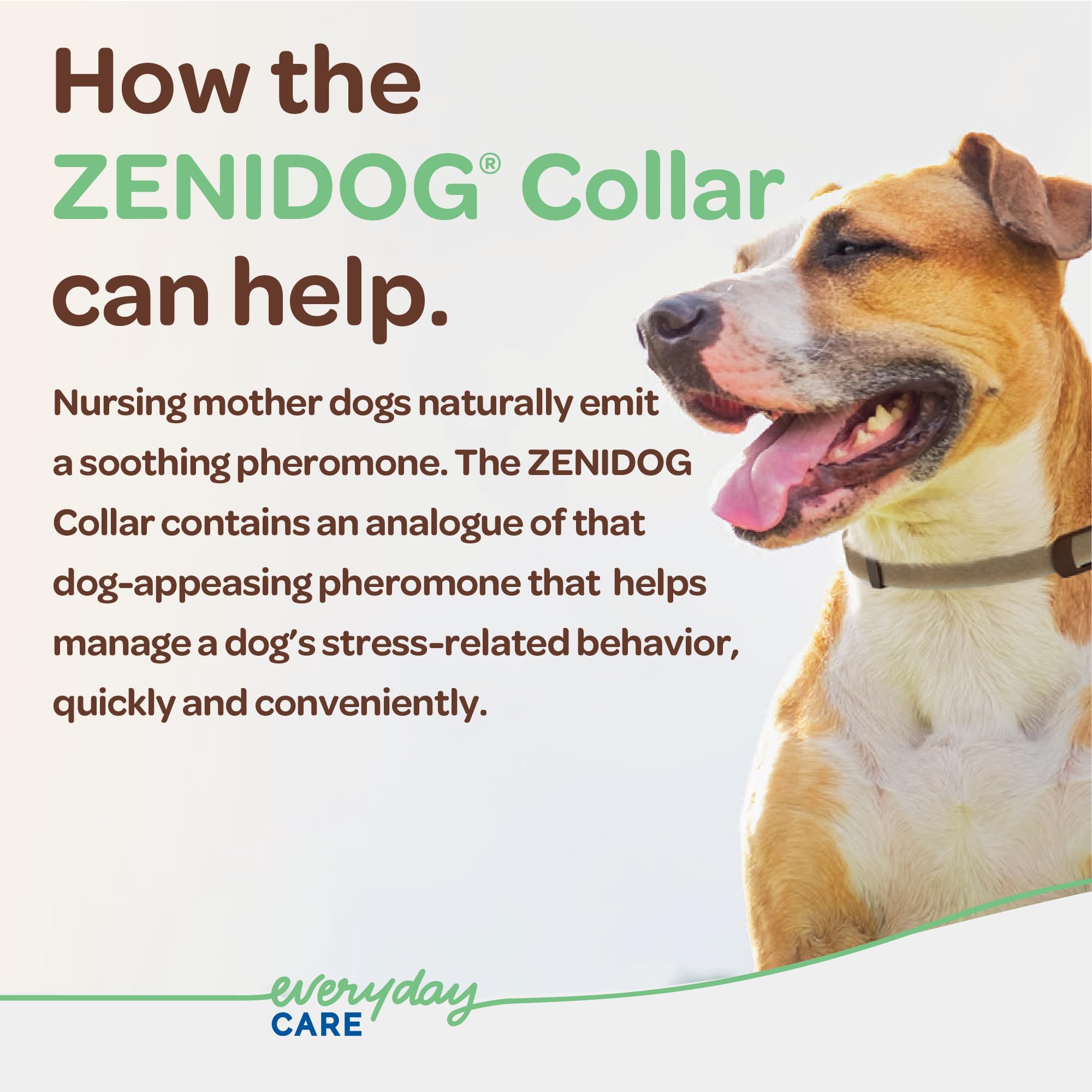 Dog Calming Collar with Pheromones - Zenidog Long-Acting Collar, Dog Calming Pheromone Collar, Long-Acting Pheromones for Dogs, Calming Collar, Dog Calming, Calming Collar for Dogs (Large Dogs)