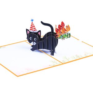 DUBRIX 3D Pop Up Funy Cat Birthday Cards pop up Greeting Cards Happy Birthday gift pop-up card for Animal Lovers, Men, Women, Dad, Husband, Friends, Kids, etc.