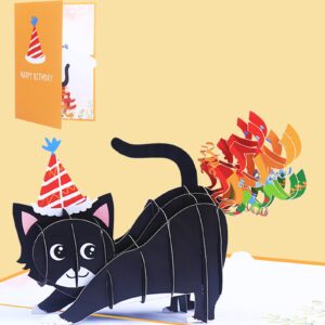 DUBRIX 3D Pop Up Funy Cat Birthday Cards pop up Greeting Cards Happy Birthday gift pop-up card for Animal Lovers, Men, Women, Dad, Husband, Friends, Kids, etc.