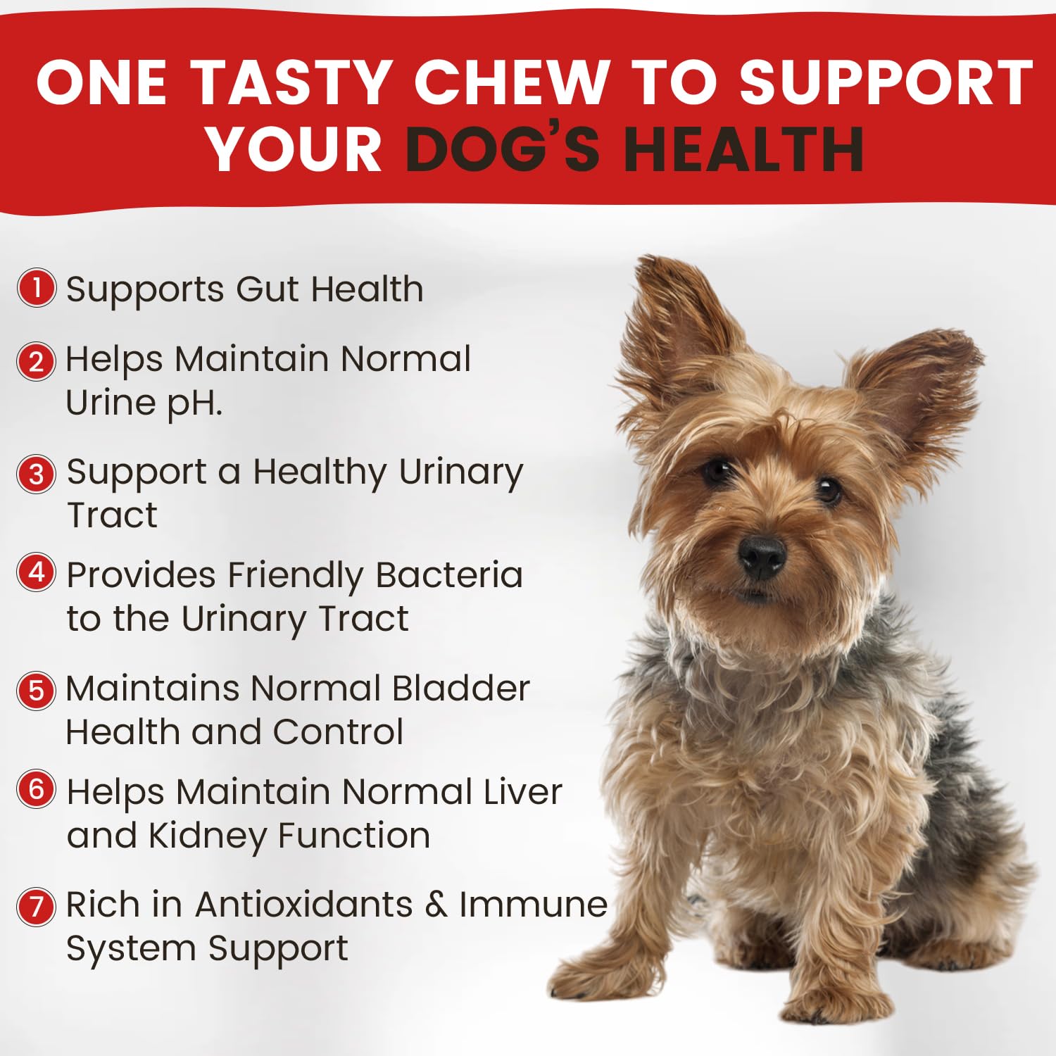 Vitamin Paws Cranberry Supplement for Dogs | Urinary Tract and UTI Support Chews | Incontinence and Bladder Control Nutritional Bites with D Mannose, Marshmallow Root, Probiotics, for Liver, Kidney