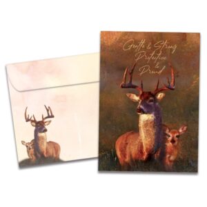 tree-free greetings - birthday cards - artful designs - 1 card + matching envelope - made in usa - 100% recycled paper - 5"x7" - deer qualities (go65473)