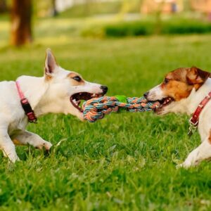 Hydrodogz [3 Pack Tri-Pull Dog Tug Rope Toys Bundle for Small Medium and Large Dogs, Natural Cotton Teething Interactive Stimulation Thick Chew Toy with Treat Dispensing Ball for Aggressive Chewers