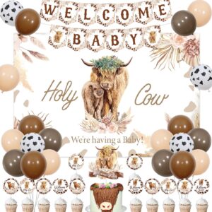 joymemo brown highland cow baby shower decorations for boy, holy cow we are having a baby backdrop decor with welcome baby print banner cake topper, farm highland cattle baby shower party supplies