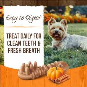 Merrick Fresh Kisses Natural Dental Chews, Treats Infused with Pumpkin and Cinnamon for Tiny Dogs 5-15 Lbs - 9 oz. Pouch