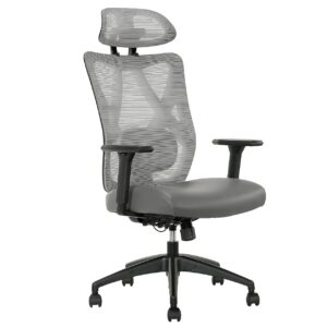 Serta SitTrue Ridgefield Ergonomic Mesh/Vegan Leather High-Back Task