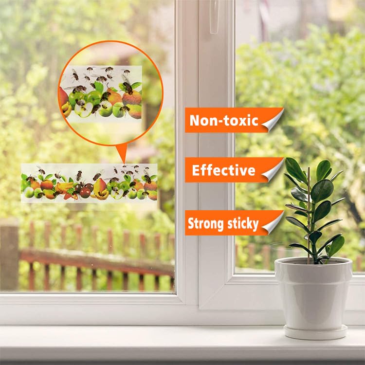 Window Fly Trap (30 Pack) Fruit Fly Trap Indoor | Catch & Kill Houseflies, Flying Insects & Bugs | Non-Toxic Sticky Glue Traps | Beautiful Fruit Design not only as a Fly Trap but Also a Decoration