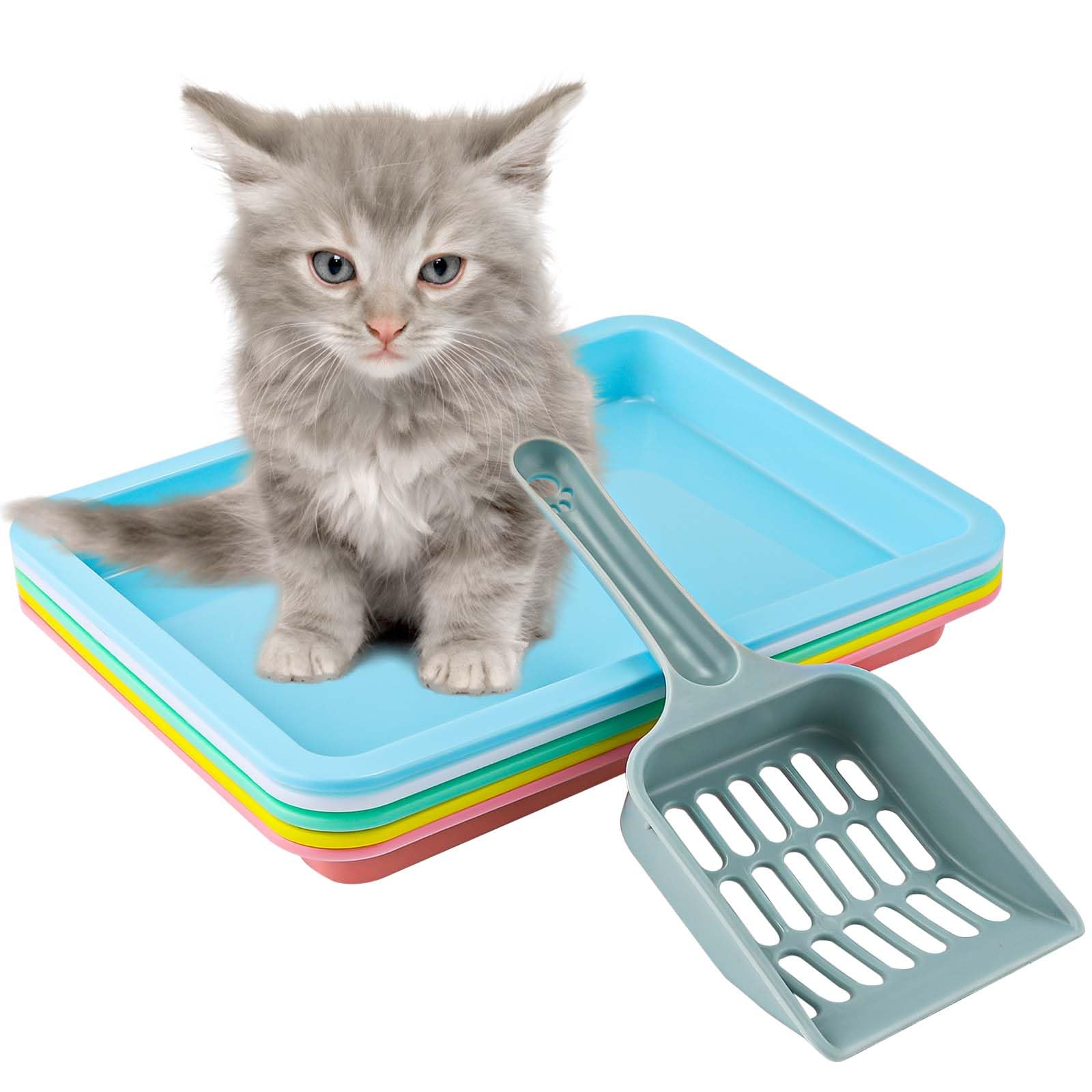 5pcs Kitten Litter Box, 9.65x7.28x0.98 inch Small Cat Litter Box with Litter Spatula Shallow Litter Pan Plastic Litter Tray Portable Cat Waste Tray Kitten Boxes for Indoor Cats Low Entry (5 Colors)