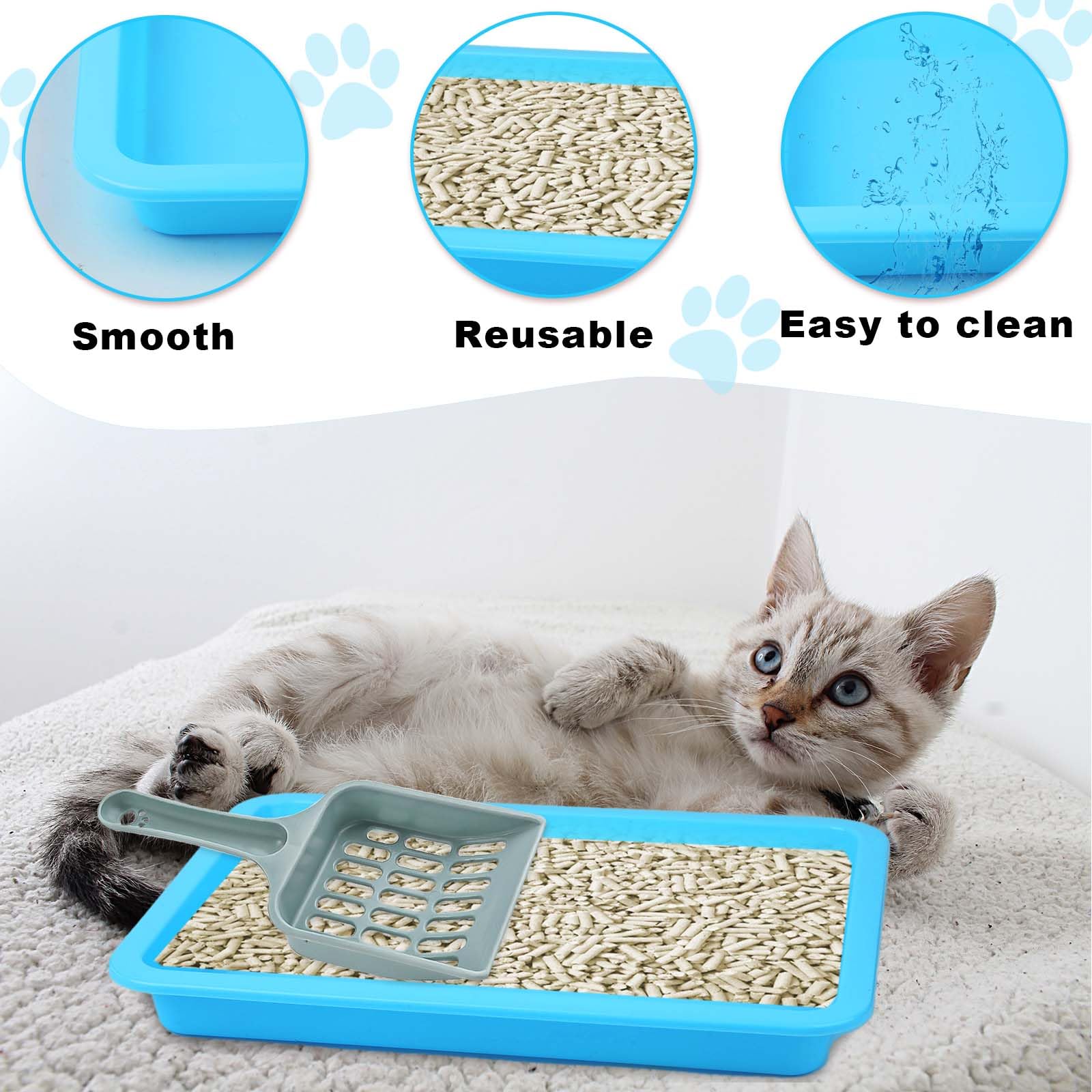 5pcs Kitten Litter Box, 9.65x7.28x0.98 inch Small Cat Litter Box with Litter Spatula Shallow Litter Pan Plastic Litter Tray Portable Cat Waste Tray Kitten Boxes for Indoor Cats Low Entry (5 Colors)