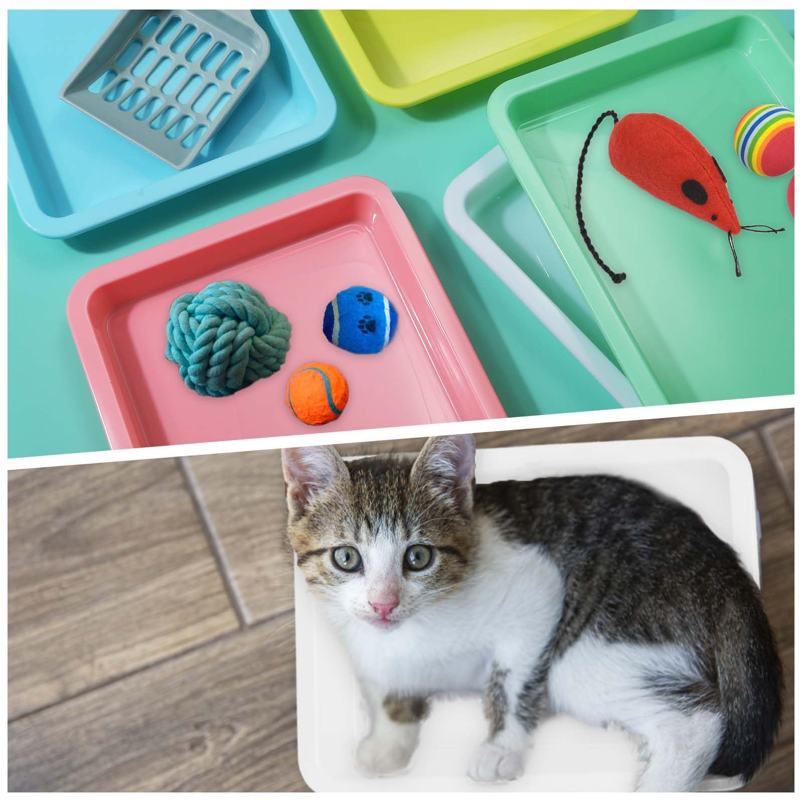 5pcs Kitten Litter Box, 9.65x7.28x0.98 inch Small Cat Litter Box with Litter Spatula Shallow Litter Pan Plastic Litter Tray Portable Cat Waste Tray Kitten Boxes for Indoor Cats Low Entry (5 Colors)