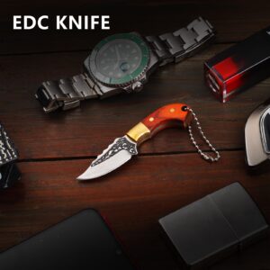 Coowolf Mini Keychain Knife, 3.35 Inch Stainless Steel Fixed Blade Knife with Leather Sheath, Wood Handle EDC Tiny knife for Everyday Use or Collection