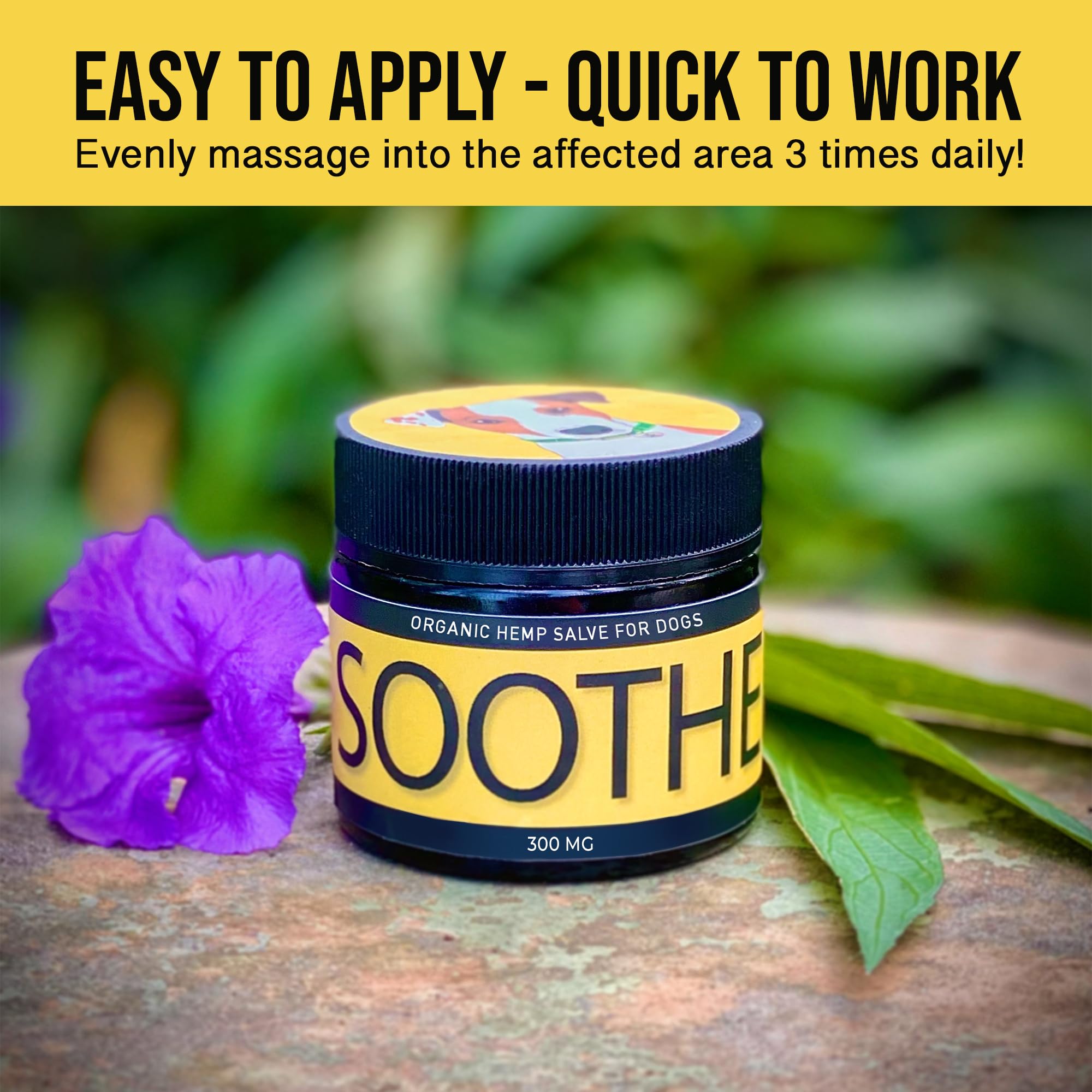 Hemp Dog Health - Soothe - Hemp Salve for Natural Dog Allergy Relief & Everyday Bug Bite & Hot Treatement for Dogs - Made with Natural Extracts & Human-Grade Hemp Oil for Dogs