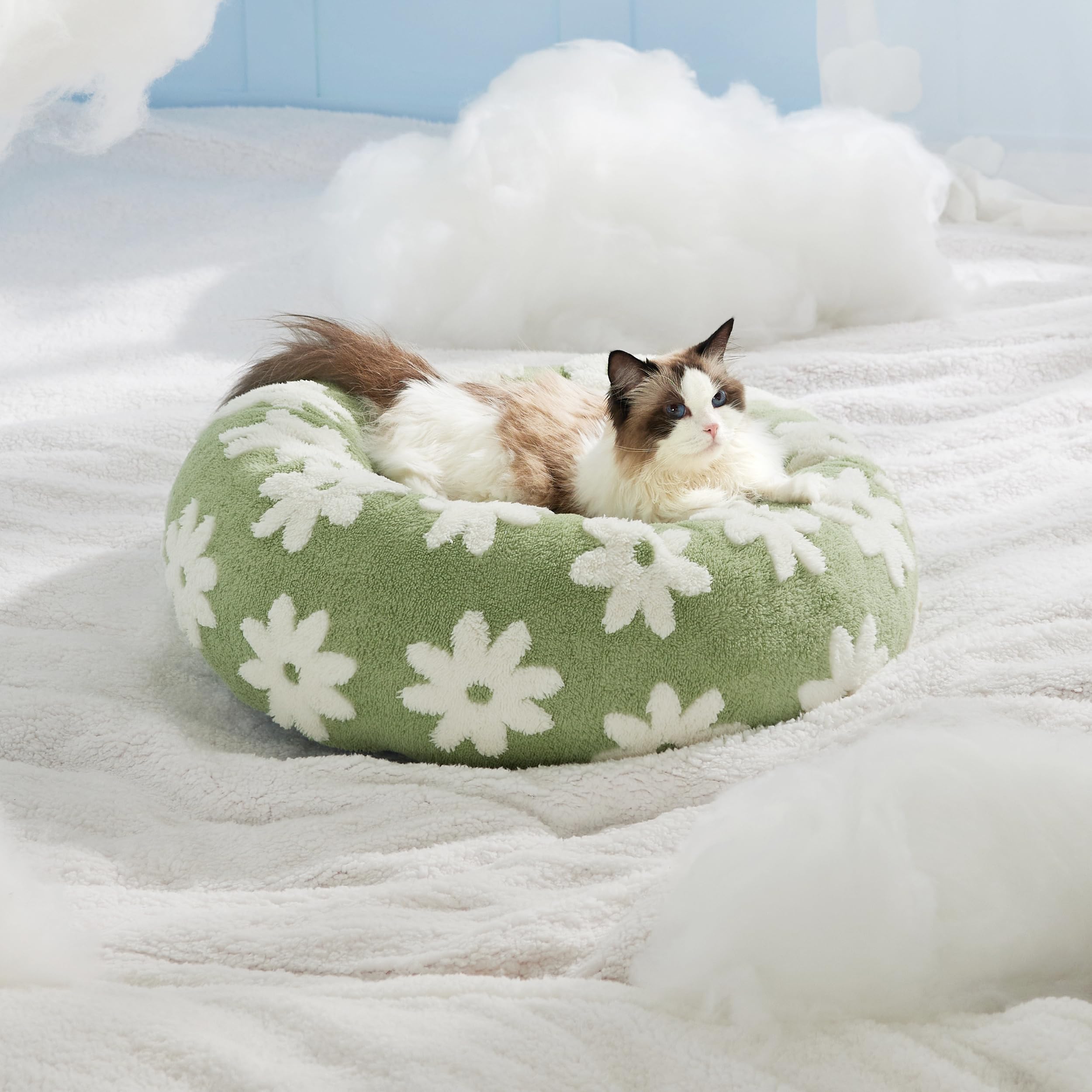 Lesure Cat Beds for Indoor Cats - Round Cat Bed Donut Small Dog Bed Calming Pet Beds, Cute Modern Beds with Jacquard Shaggy Plush & Anti Slip Bottom, 20 Inch, Green