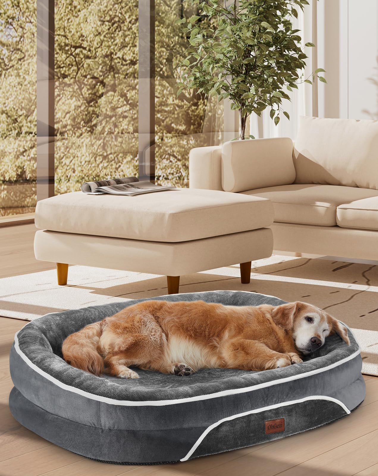 OhGeni Orthopedic Dog Bed for Large Dogs, Dog Couch Design with Egg Foam Support, Removable, Machine Washable Plush Cover and Non-Slip Bottom with Four Sided Bolster Cushion (Gray)