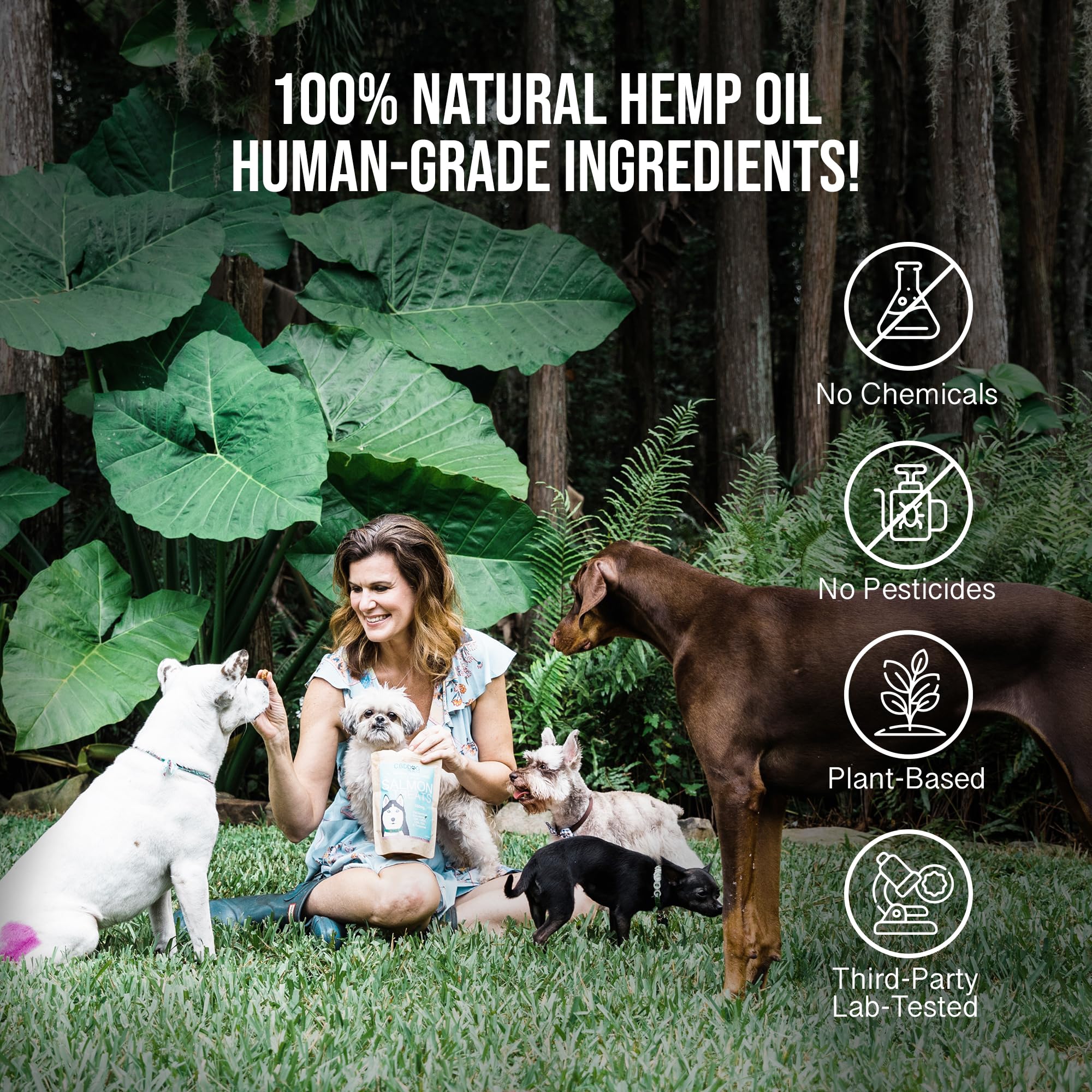 Hemp Dog Health - Soothe - Hemp Salve for Natural Dog Allergy Relief & Everyday Bug Bite & Hot Treatement for Dogs - Made with Natural Extracts & Human-Grade Hemp Oil for Dogs