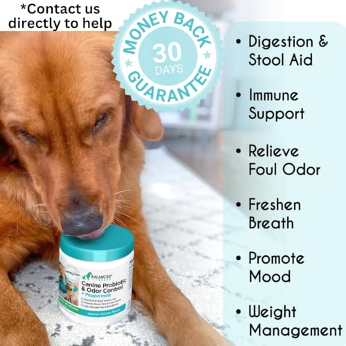 Balanced Breed Dog Probiotics Digestive Gut Health Chew Made in USA Non-GMO Vet-Phamacist Approved Fortiflora Probiotics Dogs Anti Yeast Supplements Constipation Relief Dog Yeast Itchy Skin Itchy Ears