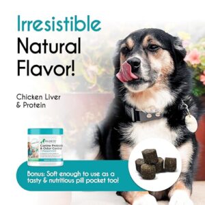 Balanced Breed Dog Probiotics Digestive Gut Health Chew Made in USA Non-GMO Vet-Phamacist Approved Fortiflora Probiotics Dogs Anti Yeast Supplements Constipation Relief Dog Yeast Itchy Skin Itchy Ears