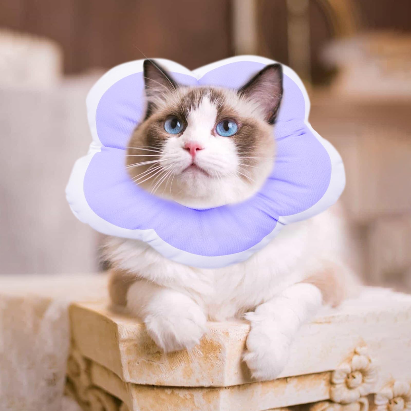 Adjustable Petal Cat Cone Collar Soft, Cute Waterproof Elizabethan Recovery Collar for Kittens and Small Dogs, Anti-Bite Lick Wound Healing Protective Neck Cone After Surgery Collar for Small Pets